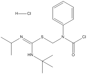 Molecular Structure of 141651-87-8 (Carbamimidothioic acid, N-(1,1-dimethylethyl)-N'-(1-methylethyl)-,[(chlorocarbonyl)phenylamino]methyl ester, monohydrochloride)